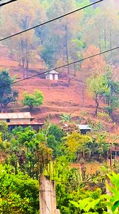 Raidi Gau Tira | Dainik Katha