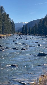 Gallatin River, Montana. 10/24/25 | Yellowstone Tour Guides