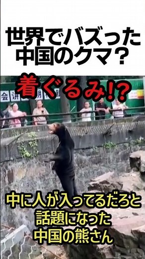 [Fake!?] Chinese bear