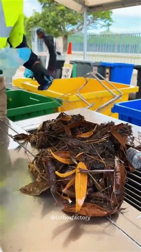 AUSTRALIA INSTALLS STORM DRAIN FILTERS TO PROTECT OCEANS Australian cities are installing mesh...