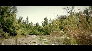 26K views · 344 shares | Welcome to Rio Grande City | City of Rio Grande City, Texas | Facebook