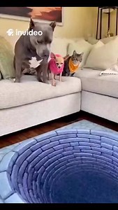 6.6K views · 5.5K reactions | Veruska Toledo on Reels | Facebook