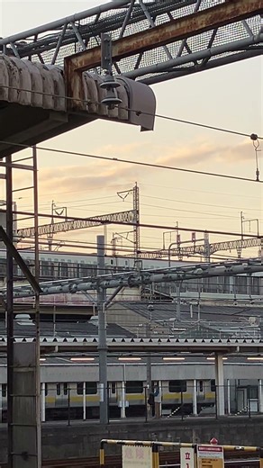 総武線各駅停車と新幹線