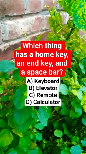 Which thing has a home key, an end key, and a space bar?