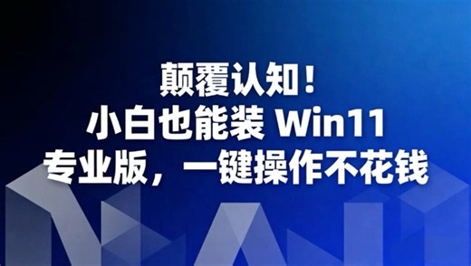 颠覆认知！小白也能装 Win11 专业版，一键操作不花钱