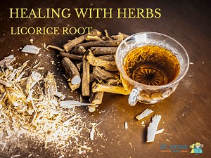 Healing With Herbs: Licorice Root - Veterinary Secrets with Dr. Andrew Jones, DVM