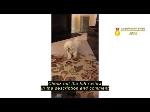 Review Cubii JR1, Under Desk Elliptical, Under Desk Bike Pedal Exerciser, Seated Elliptical, Work fr