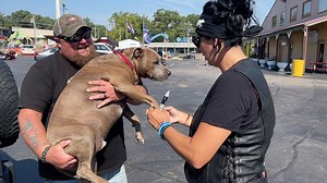23K views · 59 reactions | Burt the biker dog and his owner Will sign Momma Badger's bike at the Lake of the Ozarks Bikefest on Saturday. Be sure to support this fellow content creator by following them on social media. Get yourself on the map at SupportBikers.com The Badgers and the Biker Lifestyle Icehole Lake of the Ozarks Harley-Davidson #badgernation #supportbikers | Support Bikers | Facebook