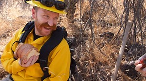 864K views · 5.3K reactions | The beard made me do it. | Firefighter Fenton | Facebook