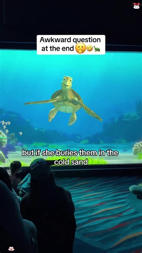 Hilarious Disney Turtle Moments: Fun Times Ahead!