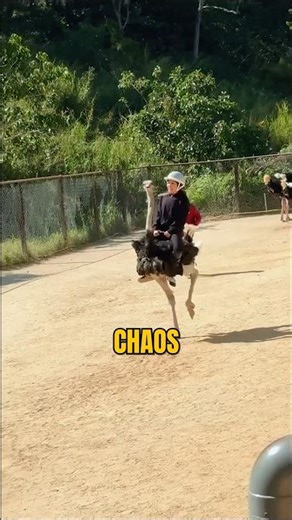 She tried ostrich racing 🦩