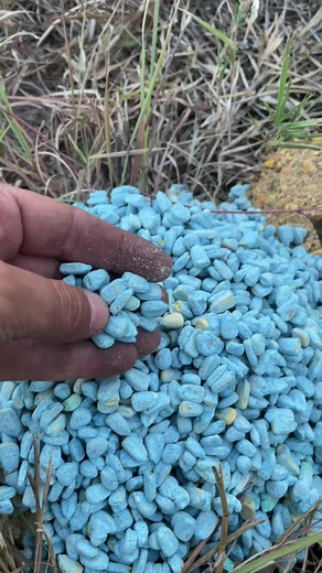 Deer attractants from kansas prairie deer feeders. #foryou #fyp #deerfeeder #deerattractant #deerseason #deerhunting