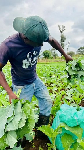 Beginner's Guide to Vegetable Farming: Start Your Own Farm Today!