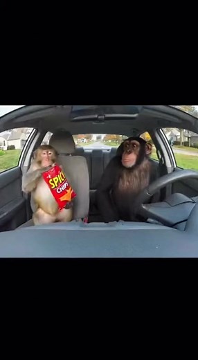 2.4M views · 16K reactions | Spicy Chips Challenge… Inside the Car!  #spicy #challenge #viralchallenge | Lala Sana | Facebook