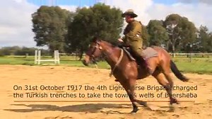 The Walers of The Light Horse (Pt 1) These horses from the colony of New South Wales became known as ‘New South Walers’ or ‘Walers’ for short. Bred from thoroughbred stock, Cape Pony, Timor Pony and perhaps the huge Percheron during the 19th Century, they were highly prized in the empire for being hardy horses with great endurance. Banjo Patterson describes the mount of the Man from Snowy River which sounds remarkably like a Waler: “…on a small and weedy beast. Something of a racehorse undersize