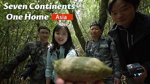 8.3K views · 338 reactions | Have you ever smelled panda feces? Do you know what clues we can get from it? CGTN Nature's film crew went to Foping National Nature Reserve in China's Shaanxi Province to film wild giant pandas. The reserve sits in the deep area of Qinling Mountains, home to a large number of rare wildlife. Check the video and see if the crew found the panda. | CGTN | Facebook