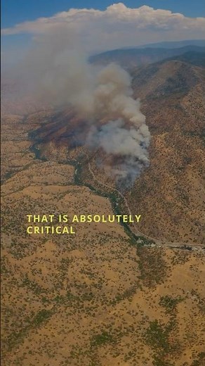 How aircraft support ground crews to stop massive wildfires #aerialfirefighting #wildfire #aviation