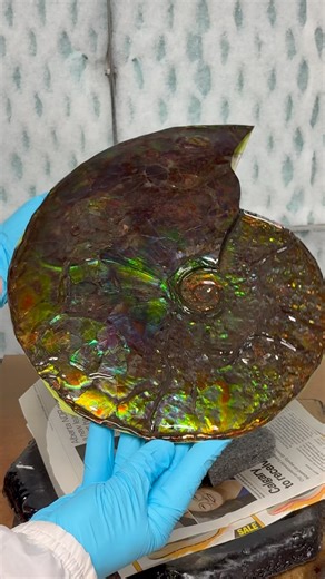 2.2K views · 80 reactions | We’ve been sharing the journey of an...