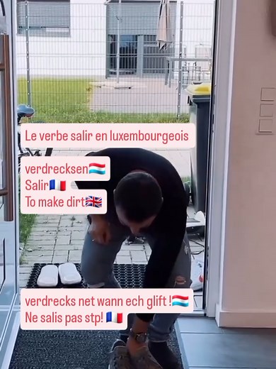 Learn Luxembourgish Easily: Your Guide to the Language