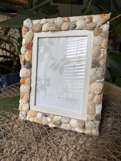 Seashell Picture Frame, Shell Frame, Handmade Coastal Beach Photo Display - Etsy