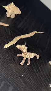 Tineshia Blaisdell on Reels | Facebook