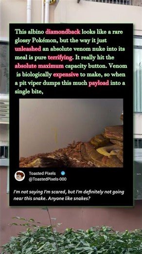 This Snake Is A Real LIFE Pokémon! 🐍 #Nature #Wildlife