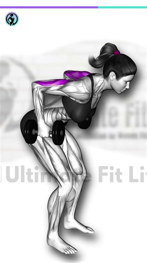 Back of Arms Strength