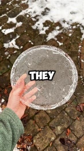 #capcut #capcutpioneer #capcutforus | CapCut