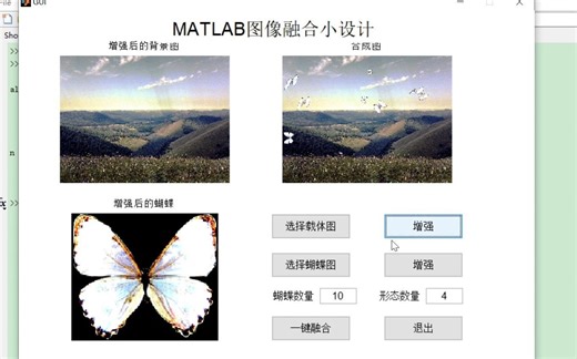 MATLAB图像融合【蝴蝶GUI】