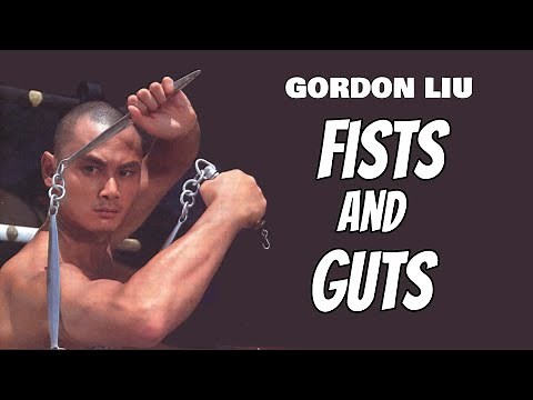Wu Tang Collection - Fists and Guts
