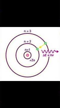 From Bohr’s Model to Quantum Mechanics The Evolution of Atomic Theory | AskPrep