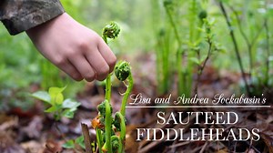 Fiddleheads