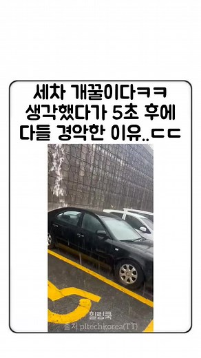 세차 짤과 웃긴 영상의 유머