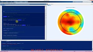 国外大神 基于MATLAB的EEG分析课程第一章第5节