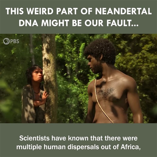 37K views · 1.3K reactions | The Weird Part Of Neandertal DNA Might Be Our Fault... | Eons • PBS | Facebook