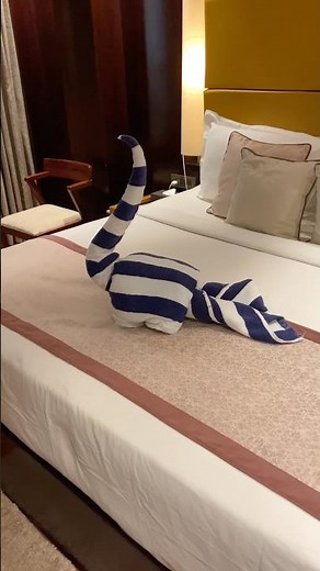 Towel art #housekeeping #towelart #folding #diy
