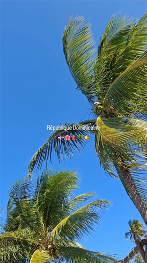 FRAM • Bien en Vacances • | Sable fin, mer turquoise, bonheur total 🌊☀️ Un séjour dans ce paradis, ça vous dit ? #fram #vacances #voyages #travel #républiquedominicaine | Instagram