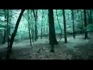 Breathe (Until Tomorrow) - Paramore [un]Official Music Video