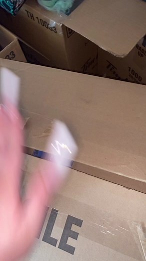 Ever After High Doll Collection Review and Nostalgic Haul