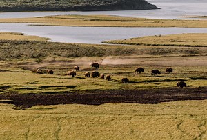 GOING DEEPER: Acts 6-7 (12-Minute Bible Study) - Church On The Move