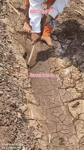 #ऊसनर्सरी #बळिराजासुरेशकबाडे #shetkriputra #shetkri_pattern #सुपरकेन #ऊसबागायतदार #co86032 #sugercanee #sugercanefarmer #काळीआई #ऊसशेती #ऊसतोड #ऊस #गन्नाकिसान #गन्ना #किसान #किसानपुत्र #खोडवाऊस #indianfarmer #indianfarming #SugarcaneFarmers #indonesiasugar #indonesiasugarcanefarm | Suresh Kabade