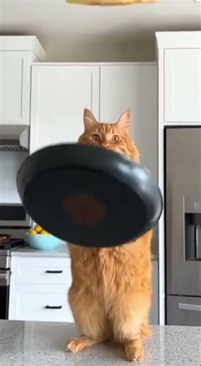 This Flip Went Wrong Watch the Unexpected Fail #fail #epicflip #funny