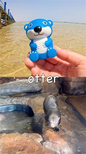 Learn Animal Names for Kids at the Lagoon: Panda Antelope Otter Chameleon Moose