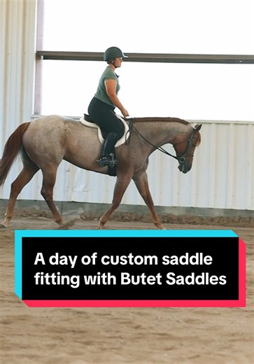 A day of custom saddle fitting with Butet Saddles✨ @lainiedeboer | black saddle
