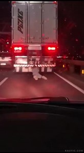 Dumbtard get permanent street burn