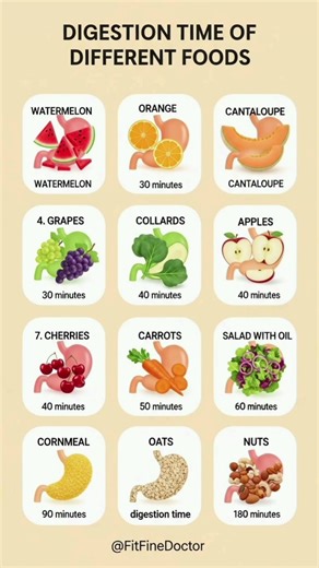 Digest Different Foods Timing | slow vs fast Digestion Time Explained#healthyeating