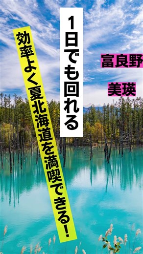 富良野行くなら、美瑛もセットで行って