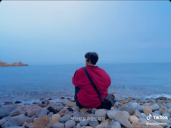 Ulsan: 3 Unique Ways to Experience the Sea