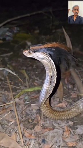 127K views · 7.6K reactions | इस वीडियो को शेयर करें Note - This video is only For educational purposes | Factz Brain | Facebook