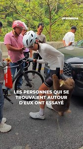 11K views · 24 reactions | Un cycliste a vécu un moment intense et très étrange avec un singe très obstiné, qui était loin de vouloir céder et a provoqué une situation inattendue ... | Formidable | Facebook